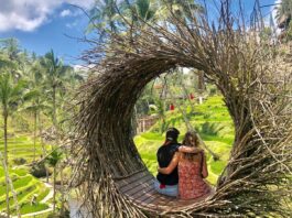 panorama terasering alas harum agro tourism bali