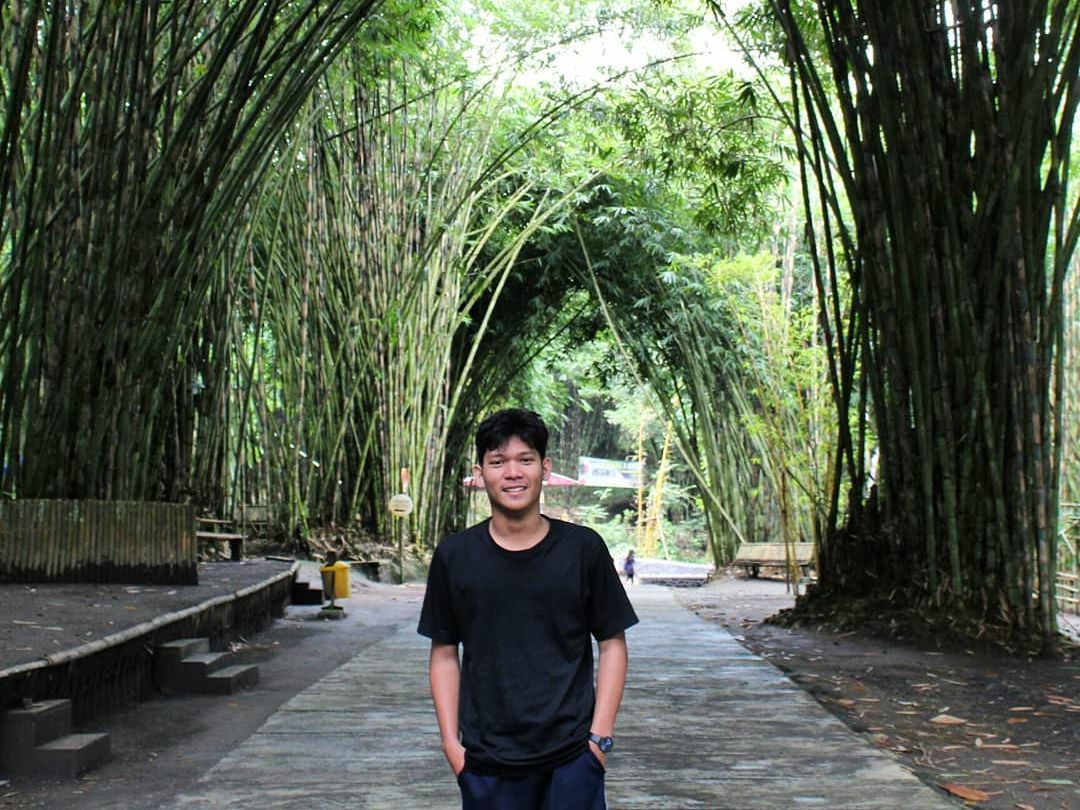 foto unik di tengah jalan setapak berkanopi pepohonan bambu