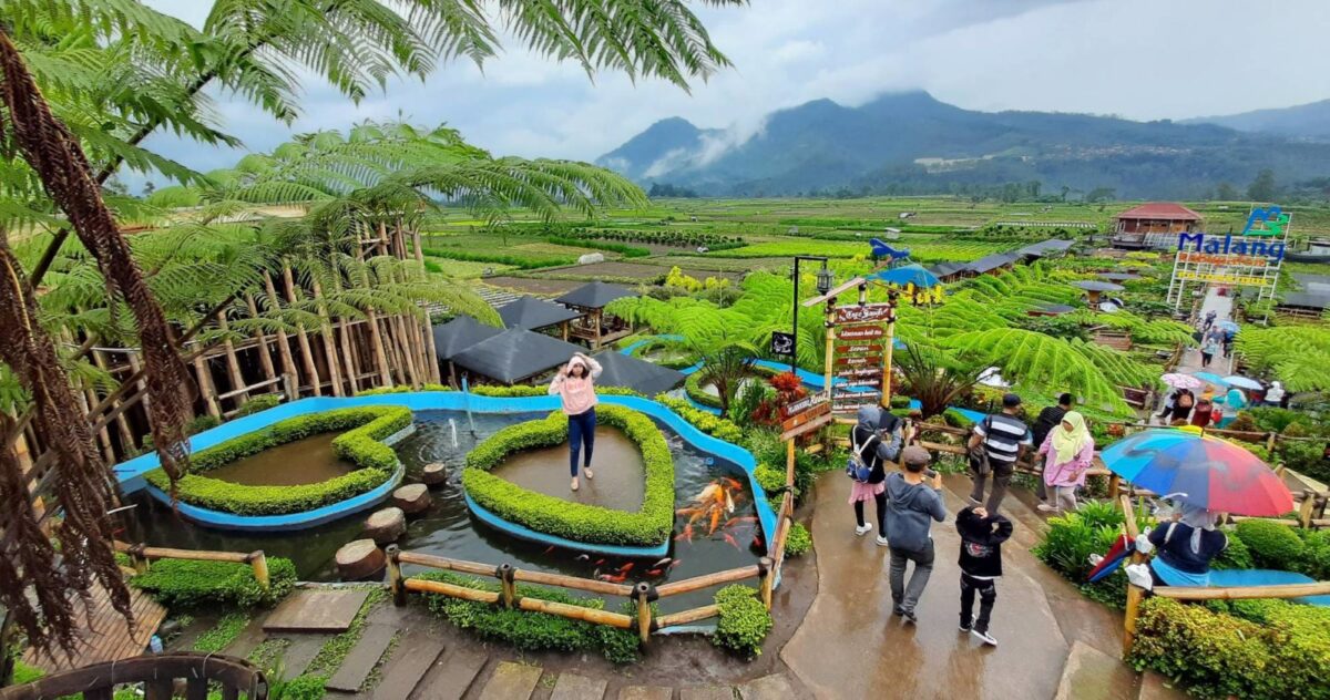 suasana alam pedesaan di Cafe Sawah Pujon Kidul