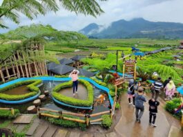 suasana alam pedesaan di Cafe Sawah Pujon Kidul