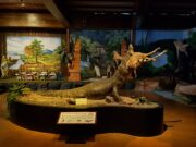 Diorama Buaya di Predator Fun Park Batu. Foto: Google Maps / hardian suprapto