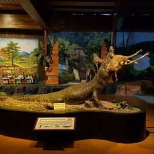 Diorama Buaya di Predator Fun Park Batu. Foto: Google Maps / hardian suprapto
