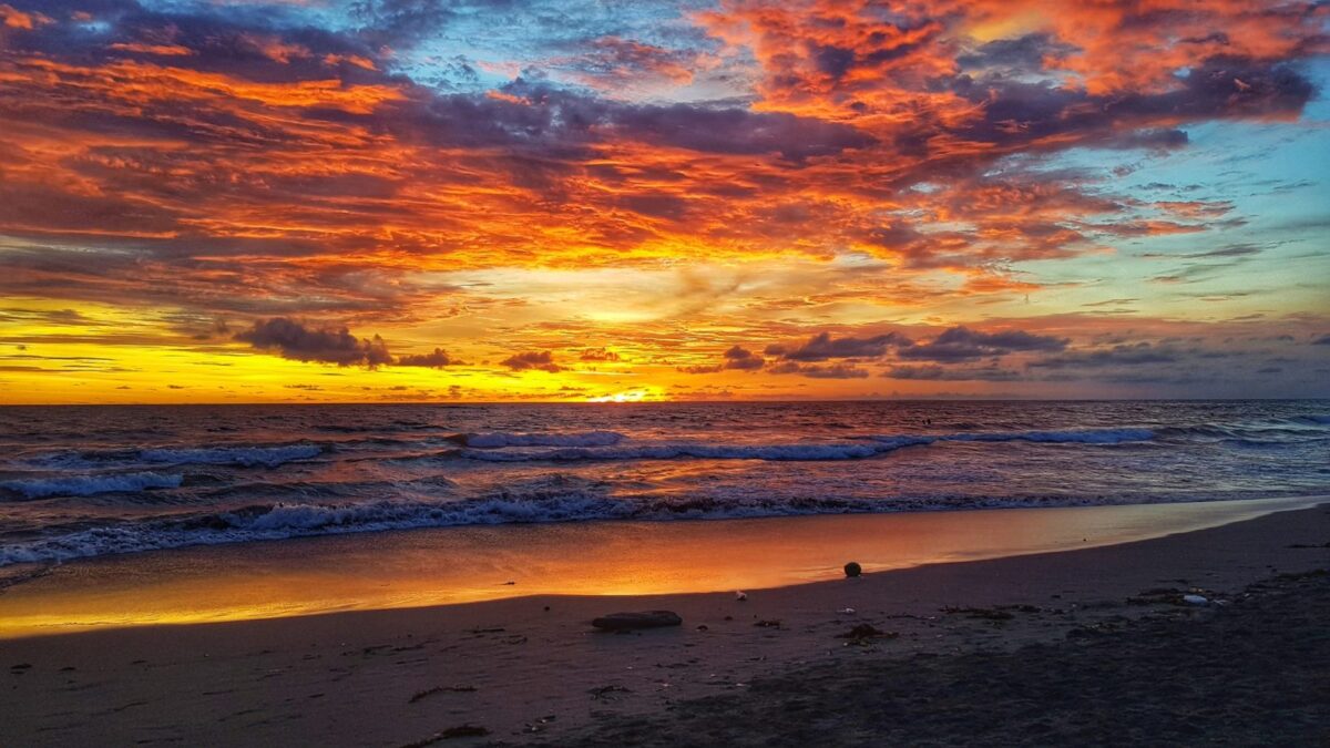Eksotisme Pantai Berawa