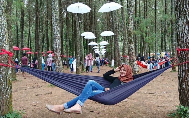 Bersantai dengan Hammock di Tengah Wisata Pinus Songgon. Foto: Google Maps / Wawan Tao