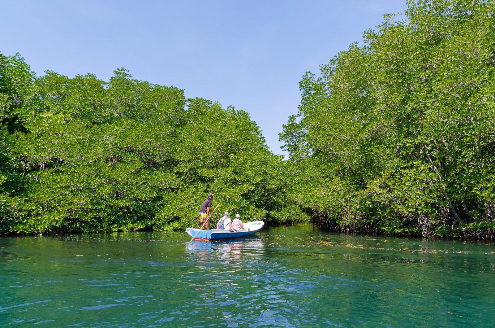Hutan Mangrove Nusa Lembongan