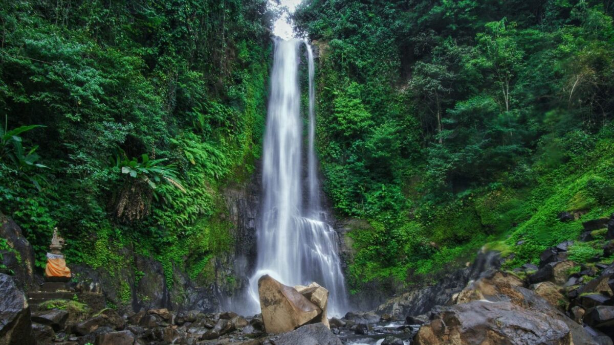 Indahnya Air Terjun dapat menjadi Latar Belakang Foto yang Indah