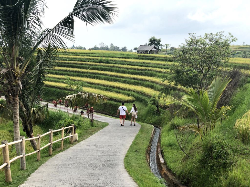 Jalan Setapak di Area Jatiluwih Rice Terrace