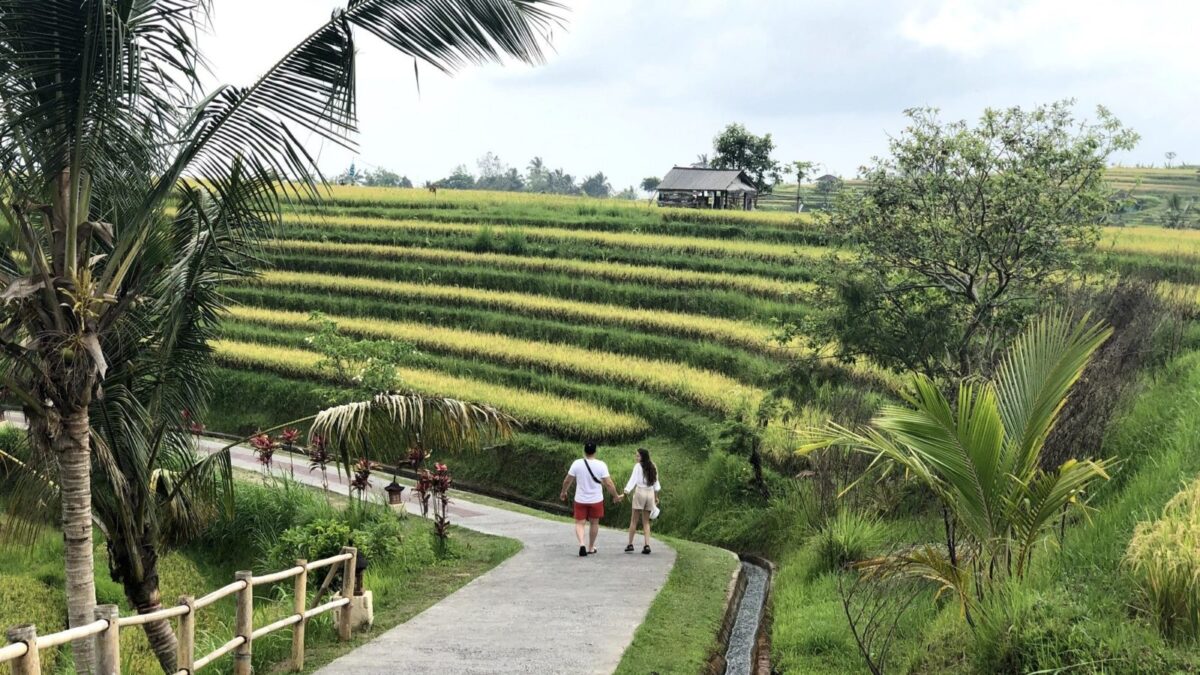 Jalan Setapak di Area Jatiluwih