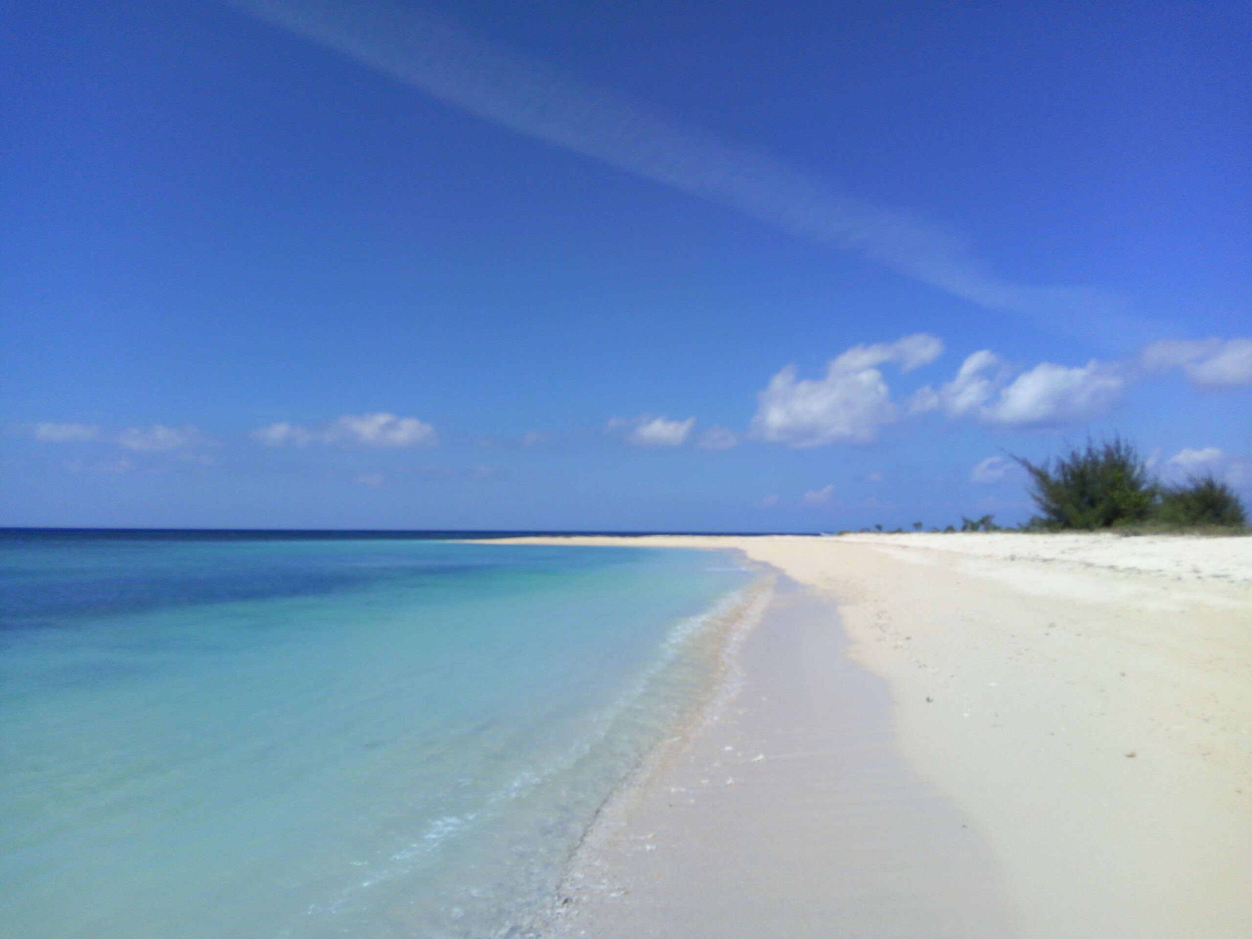 Hamparan Pantai Pasir Putih. Foto: Google Maps / Adeka Rahman