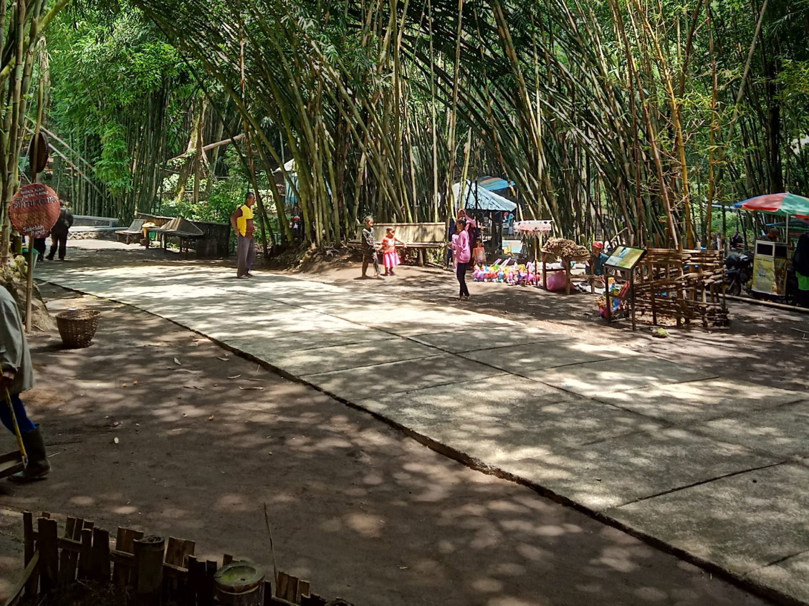 Pohon bambu yang rimbun di area hutan bambu lumajang