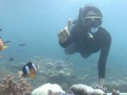 Kegiatan Snorkling di Perairan Sekitar Pulau Tabuhan Banyuwangi. Foto: Instagram / lilasepti89