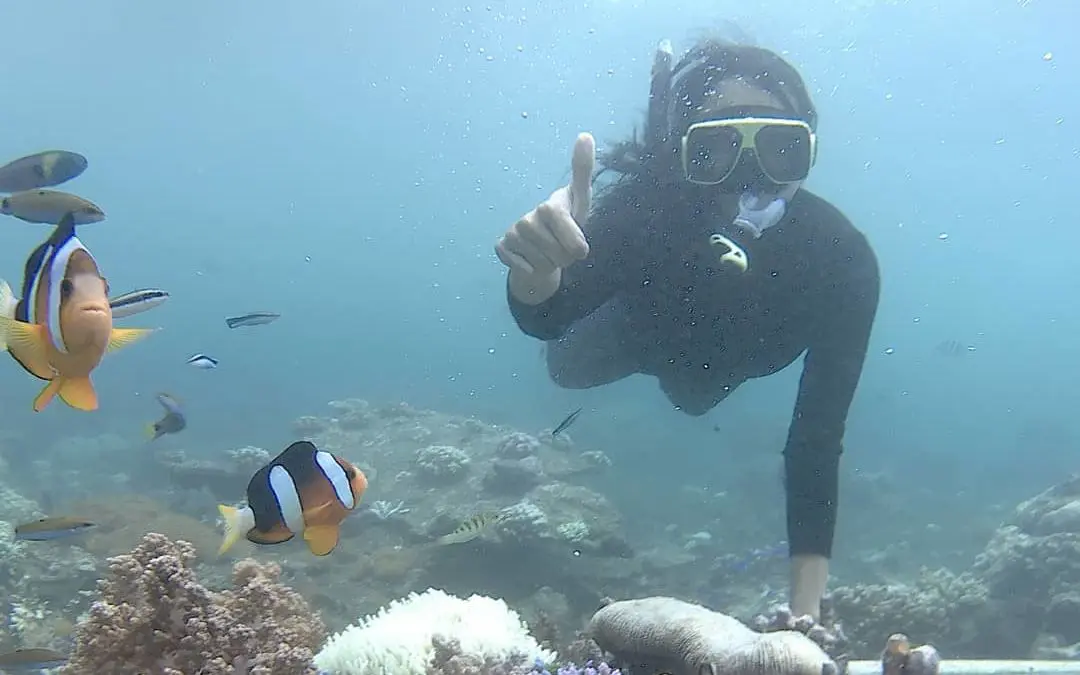 Kegiatan Snorkling di Perairan Sekitar Pulau Tabuhan Banyuwangi. Foto: Instagram / lilasepti89