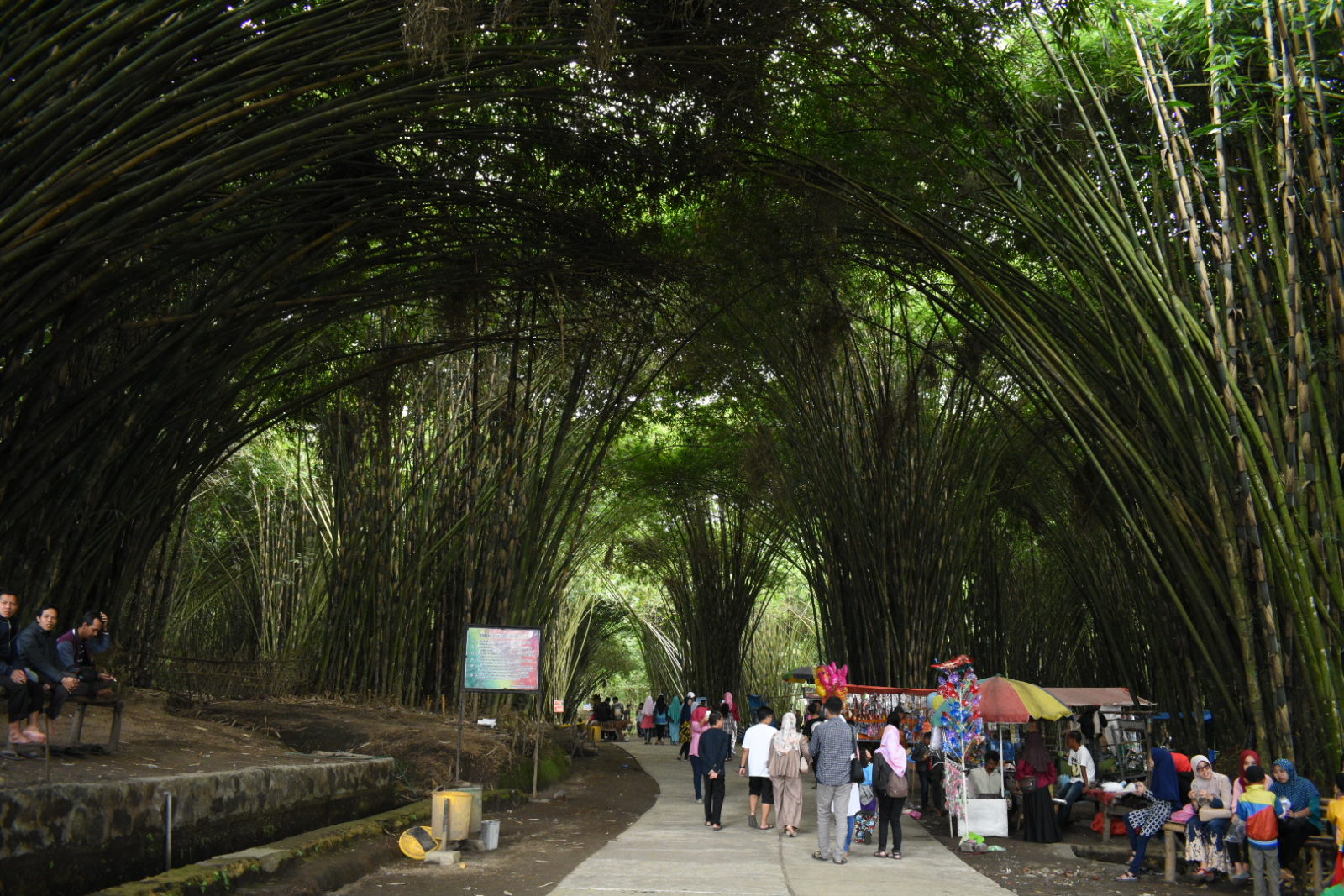 suasana hutan bambu dipadati pengunjung
