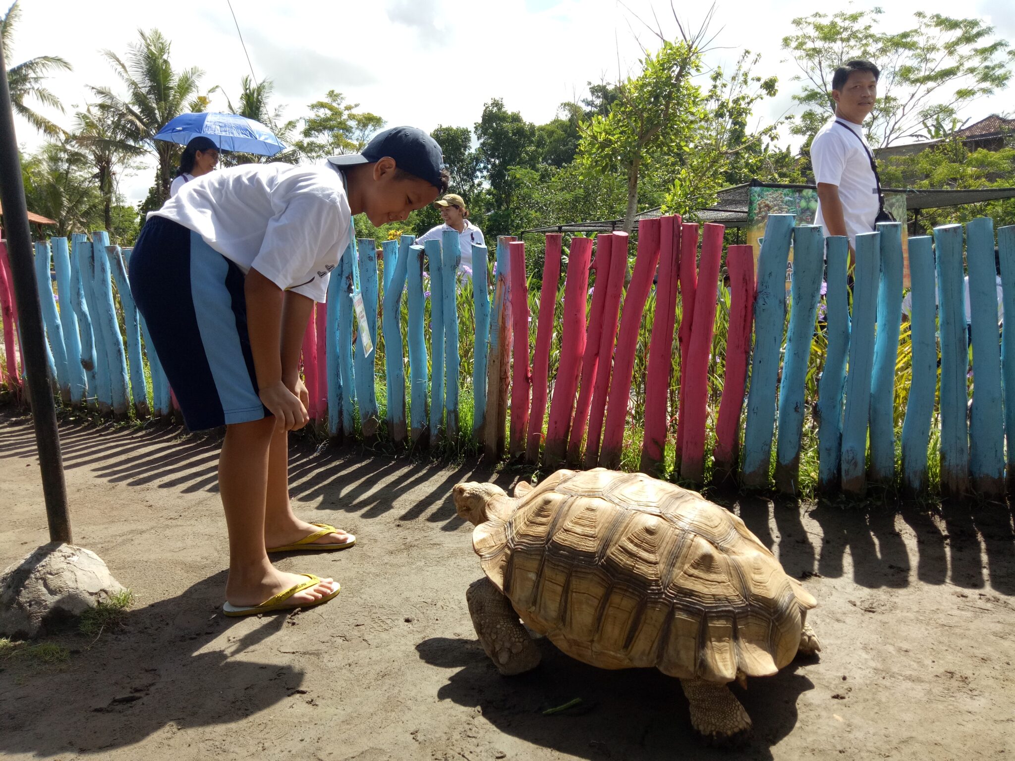 JOGJA EXOTARIUM Tiket & Aktivitas - Oktober 2022