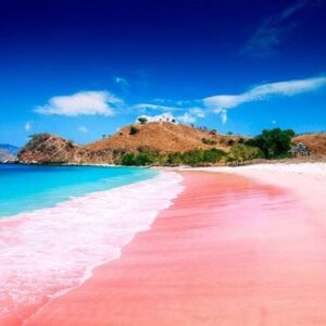 Pasir merah muda merupakan fenomena langka yang ada tujuh lokasi di dunia dan Pantai Pink Lombok Timur NTB menjadi salah satunya - erlin dhita