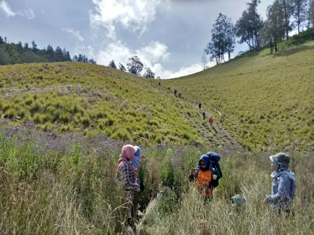 Perbukitan Hijau di Jalur Pendakian Gunung Semeru. Foto: Google Maps / juniar eko chrissanto