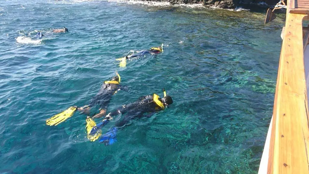 Wisatawan tengah Menikmati Indahnya Alam Bawah Laut Batu Bolong