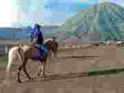 pengunjung sedang menunggang kuda di area lautan pasir boromo