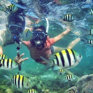 Snorkeling Taman Laut Nasional Bunaken Wori Sulawesi Utara - Datuk Bertuah
