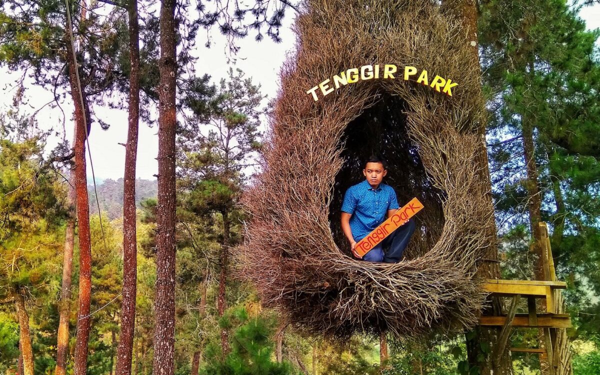 Spot Foto Sarang Burung Tenggir Park