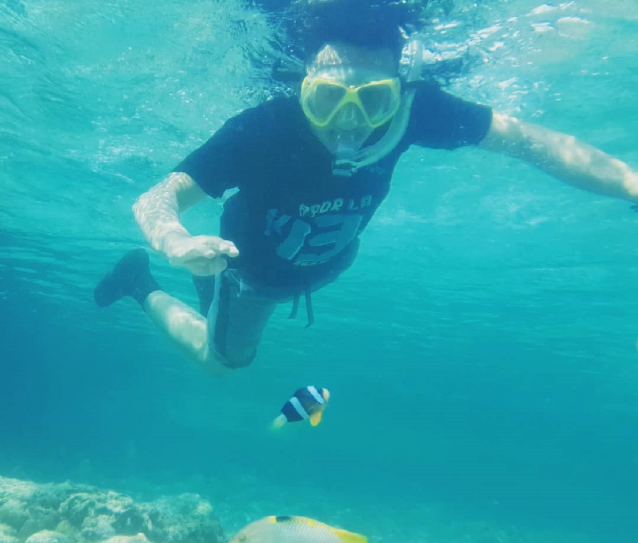 wisatawan snorkeling di taman nasional wakatobi