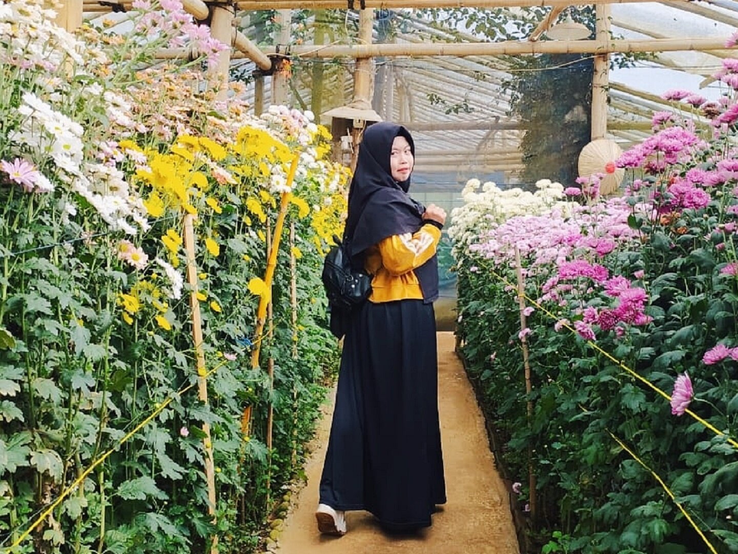 Green house dengan aneka jenis bunga warna-warni di Malino Highlands Gowa Sulawesi Selatan - Checen Rakim