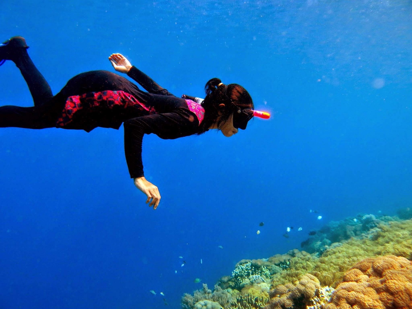 Snorkeling di Pulau Kambing Bulukumba Sulawesi Selataan - Indrajiet Rachman