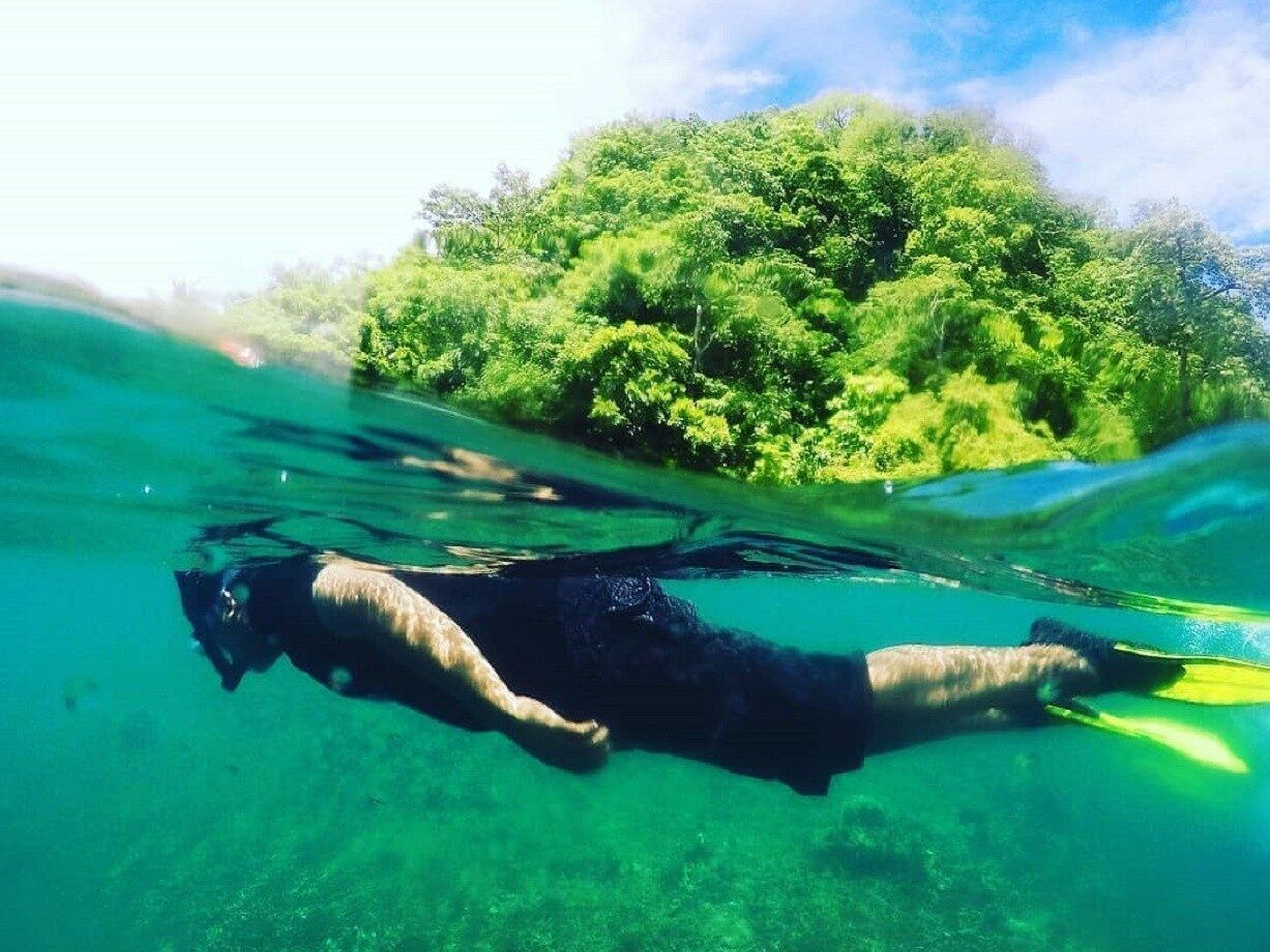 Snorkeling di perairan Kepulauan Selayar