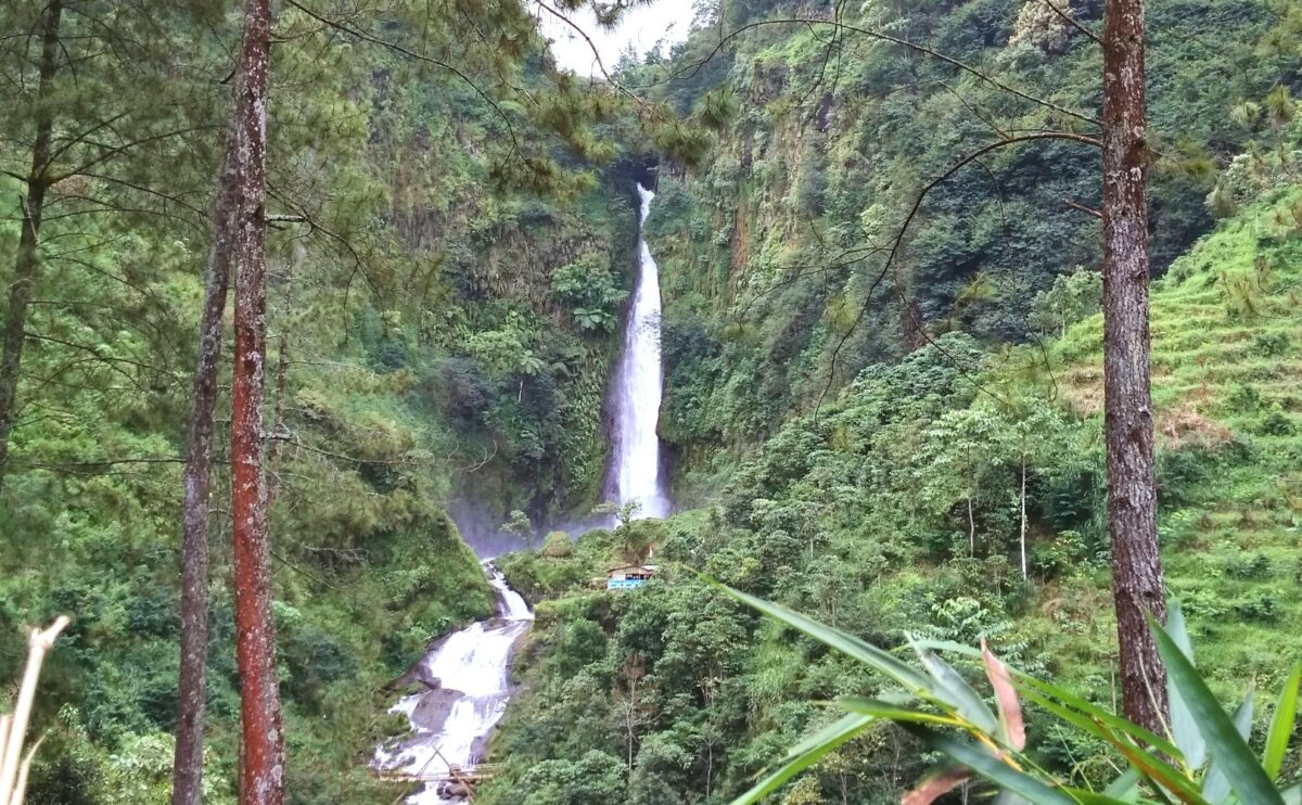 kawasan hutan sekitar air terjun curug bajing pekalongan