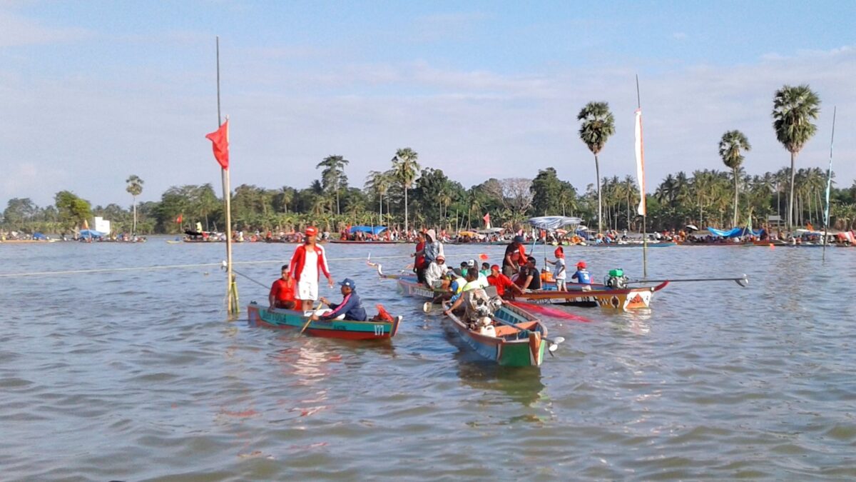 kemeriahan festival di danau tempe wajo