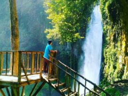 Berfoto dari rumah pohon di depan Air Terjun Sikulikap Karo Sumatera Utara - ijal_mahendri