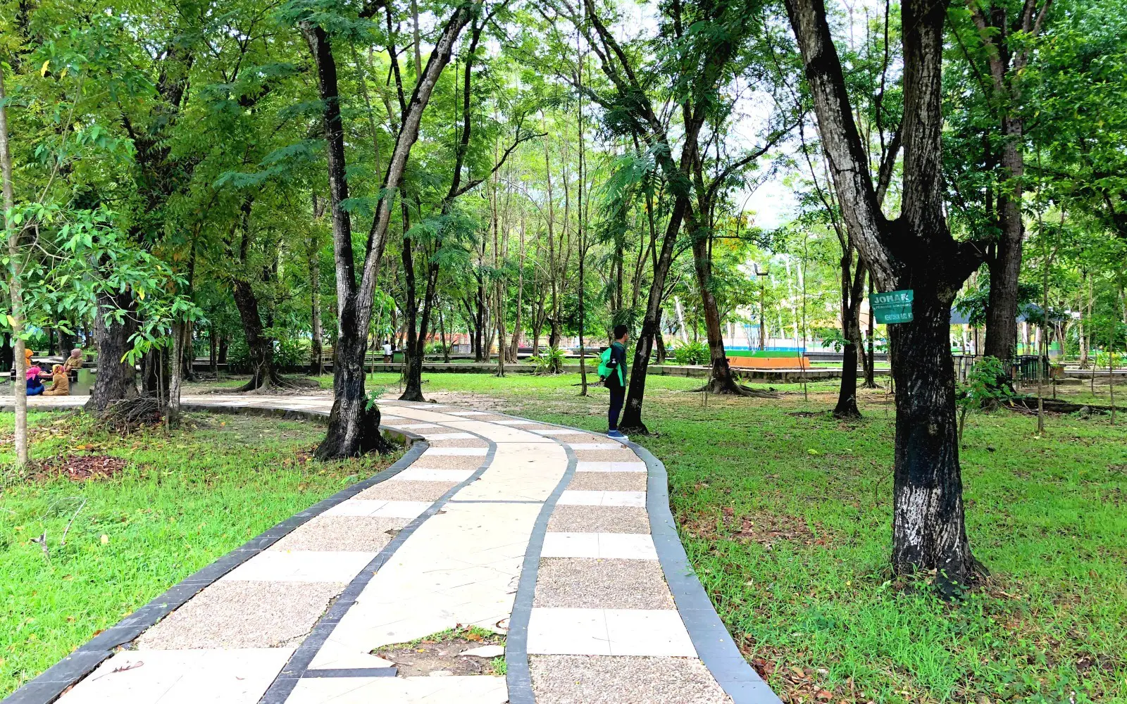 area taman yang dipenuhi pepohonan