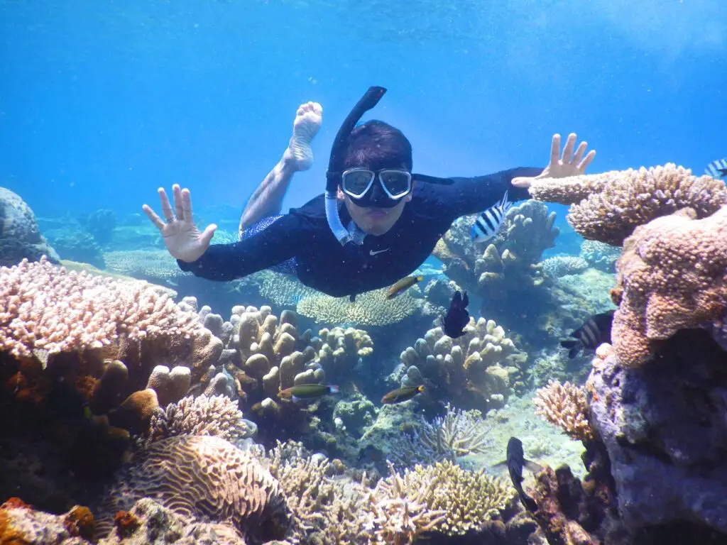 snorkeling diantara warna-warni terumbu karang pulau panjang
