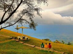 Keindahan panorama Danau Maninjau dari Puncak Lawang