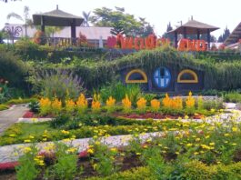 area taman bunga wonoland wonosobo