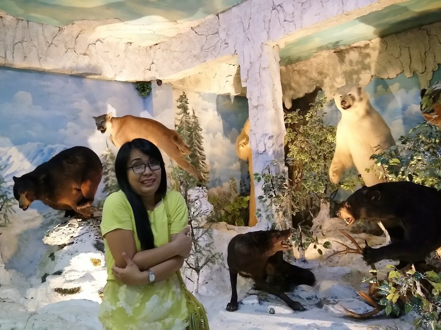 Ruang pajang beruang di Rahmat Museum