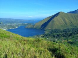 bukit hijau berlatar panorama danau toba