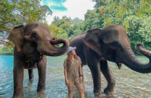 Memandikan gajah di Tangkahan Cru Langkat Sumatera Utara - syaraisa1902