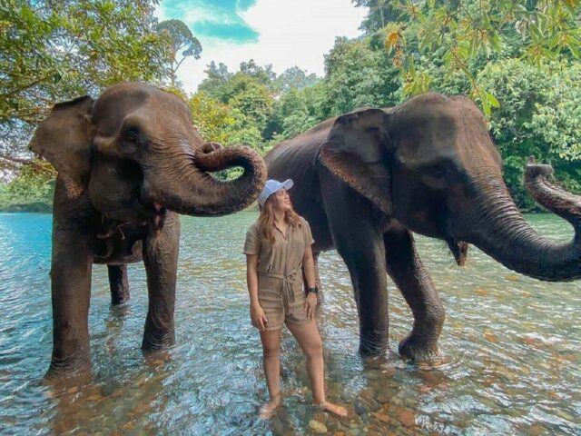 Memandikan gajah di Tangkahan Cru Langkat Sumatera Utara - syaraisa1902