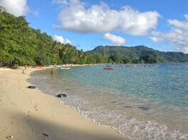 Pemandangan Indah Hijaunya Pantai Prigi