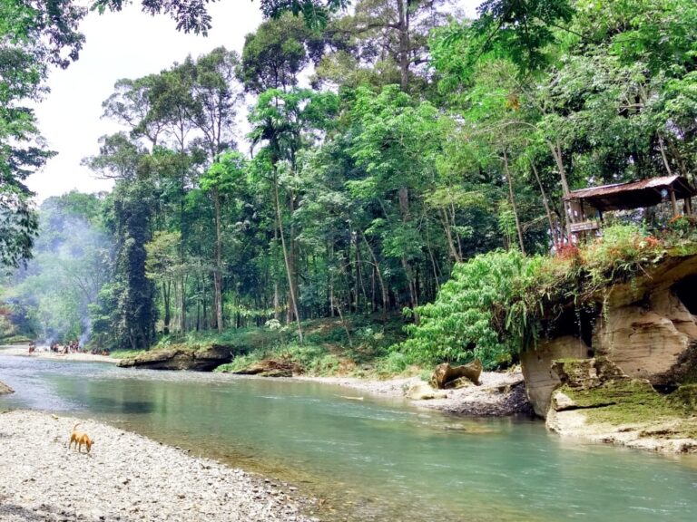 jernihnya aliran landak river