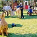 taman rekreasi dan restoran nirwana stable