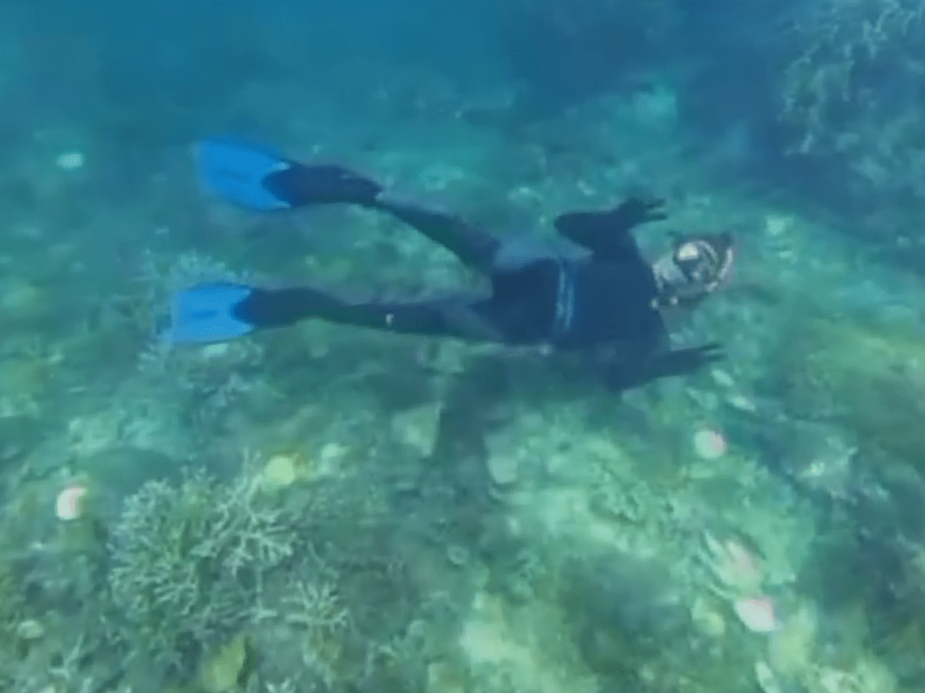 Menyelam di bawah laut