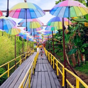 Jembatan kayu warna-warni Taman Wisata Graha Mangrove