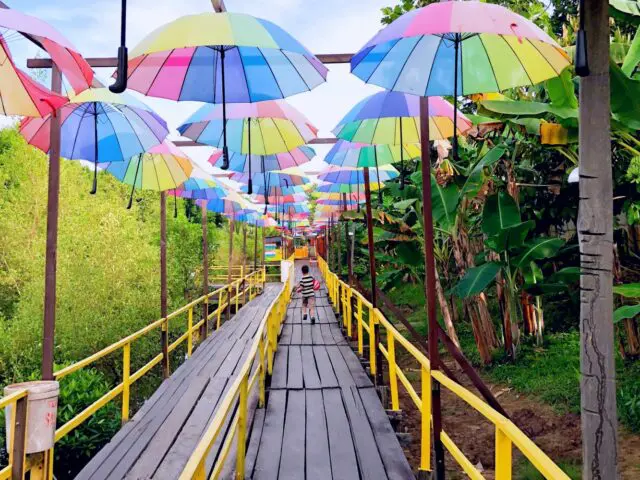Jembatan kayu warna-warni Taman Wisata Graha Mangrove
