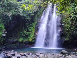 Jernihnya Air langsung Turun ke Kolam yang Indah