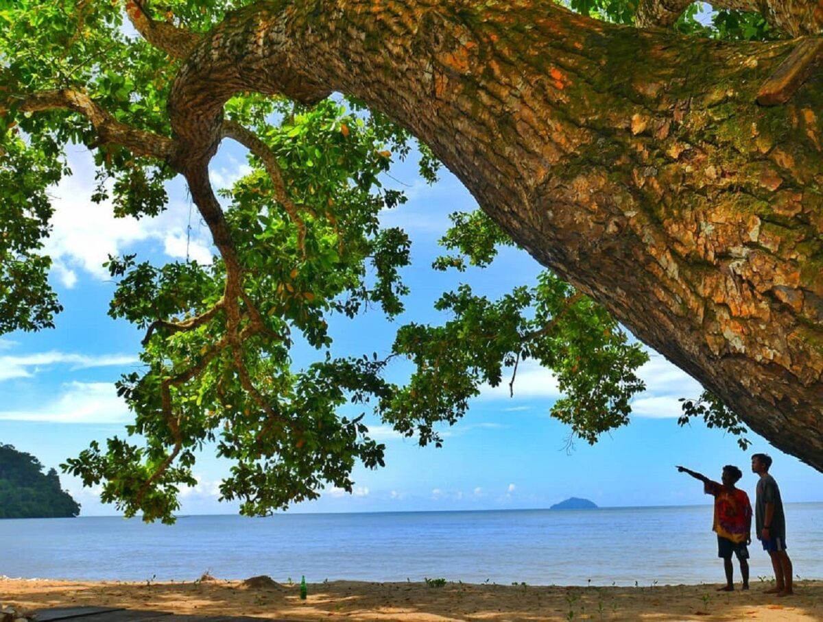 Pepohonan sekitar Pantai Pulau Datok Kayong Utara Kalimantan Barat membuat suasana menjadi teduh - agustinuserfan94
