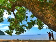 Pepohonan sekitar Pantai Pulau Datok Kayong Utara Kalimantan Barat membuat suasana menjadi teduh - agustinuserfan94