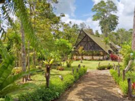 area taman di kebun raya balikpapan