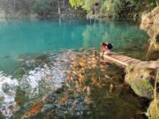 Memberi Makan Ikan di Tepi Danau Situ Cicerem